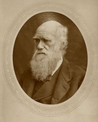 Darwin