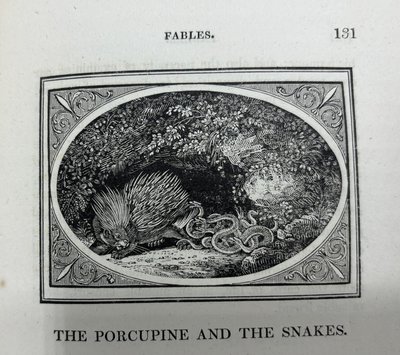 Black and white illustration of a porcupine and snakes together in a cave