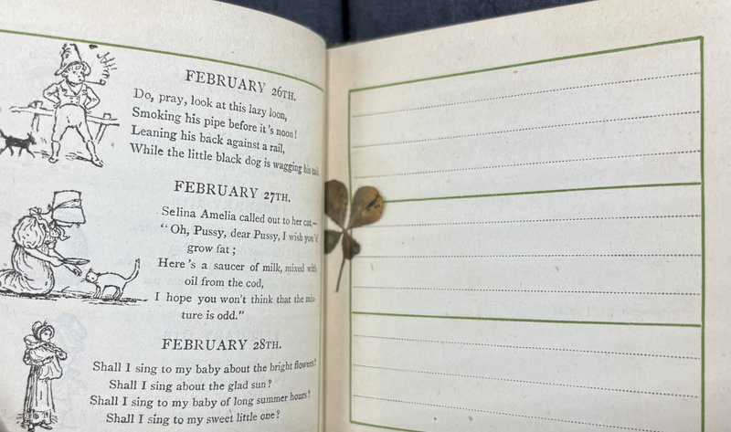 A four-leaf clover found pressed between the pages of an early 20th-century children's book