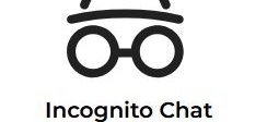 PhoenixAI Incognito Chat Logo from March 2025 D'Angelo Law Library Emerging Technologies Update