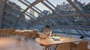 Student studying in Mansueto Library from Apply for the Library Student Advisory Council